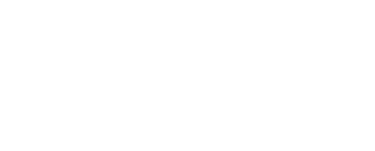 Solidaris